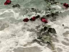 현 동백 / 공예과(도자)