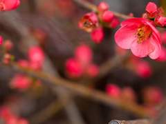 등전만리심(燈前萬里心)_19