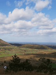 세 가지 색 후회