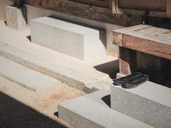 #애월화(愛月話) 2