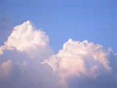 달콤한 꿈의 세계.