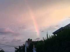 아버지의 약속.