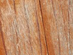 belieft 해수욕장 합격을 축하드립니다.