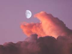 [루시에이 300일]나는 그렇게 새로운 이야기를 들어가며,