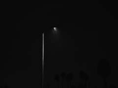 내 매칭 센티넬이 쌍둥이인 건에 대하여