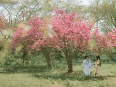 마도조사 사금 (春)