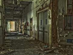 심해 속 이기심의 이명 Profile