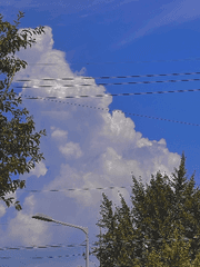 이대리와 유인턴