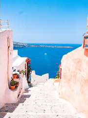 달보드레&별보드레 소통방