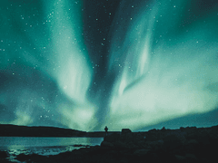 밤하늘의 천사님