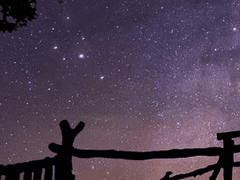 어두운 밤 그늘 아래 빛나는 작은 달(月)