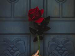 고요한 심해 속에서 허우적거리는