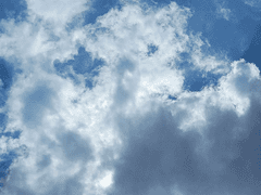 완벽주의자 외톨이 5