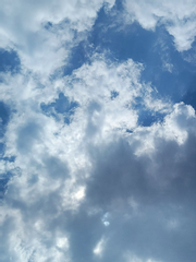 완벽주의자 외톨이