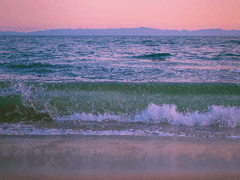 엇갈린 파도의 추억