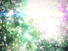 🦋 백합 좋아하는 사람을 아시나요?