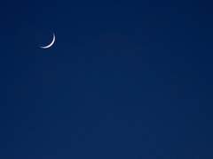 단 한 조각에 빛의 씨앗을