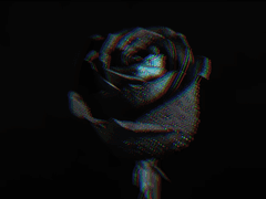 어느 날에 대한 고백