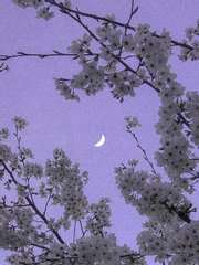 우태경의 첫사랑