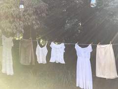 조제에게 복음을