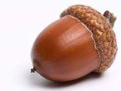 [NCT] 개밥에 도토리 4