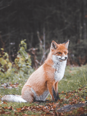 𝐛𝐚𝐜𝐤-𝐮𝐩