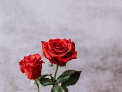 쉬어가기로 했습니다 11