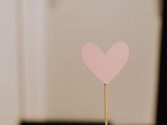 남자를 주웠습니다 9