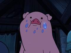 너희는 무슨 사이야?