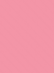 자매의 마피아 생존기