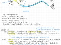 04. 자극의 전달