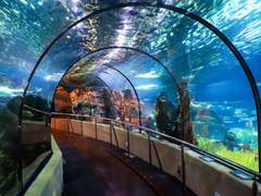 게임 플레이 실황중