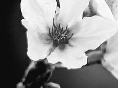 과거를 묻고서 하늘을 바라봤다