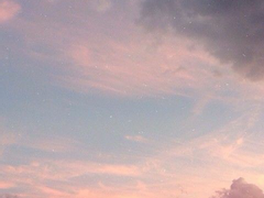 가시 달린 장미치곤 꽤 아름답지만