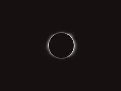 아오키 레이카/XX/16/오글