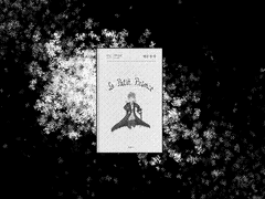 우리의 마지막 페이지는 어떨까,