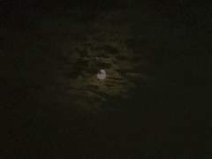 그 노비의 눈은 빛났다