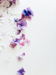 참가 모집 및 현황