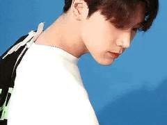 상황문답 - 꽃말 시티들