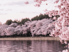 [세슈] 이제 공부하자