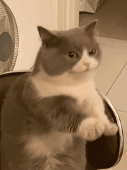 언제 돌아 올지 모르는