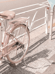 사랑하는 나의 oo!