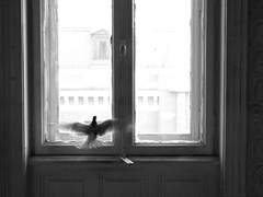 [BERLINDON] XX.XX.XX (2020)