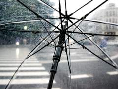 [에루리] 뷰그로스 (1)