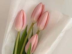 단편 쿱정 운명이 없는 자