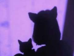 세상엔 사랑할 수 밖에 없는 것들이 있다.