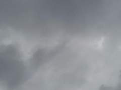 구원자 등장인물 설정표+그 외