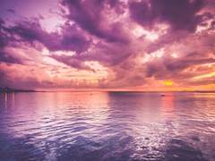 이 감정이 너무 어려워