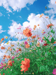 이스델라 아카데미