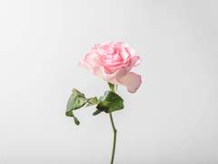 쉬어가기로 했습니다 12